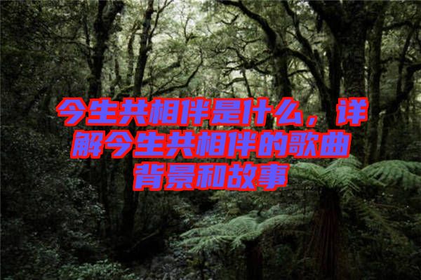 今生共相伴是什么，詳解今生共相伴的歌曲背景和故事