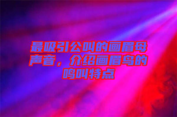 最吸引公叫的畫眉母聲音，介紹畫眉鳥的鳴叫特點