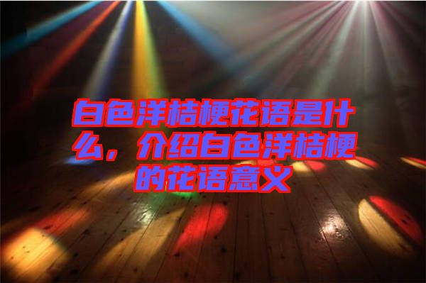 白色洋桔梗花語是什么，介紹白色洋桔梗的花語意義
