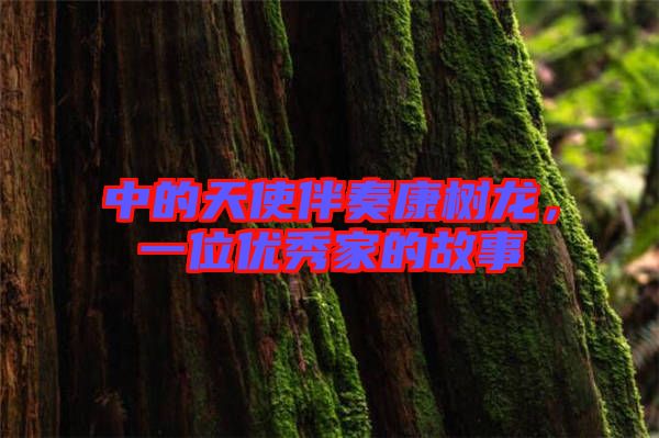 中的天使伴奏康樹龍，一位優秀家的故事