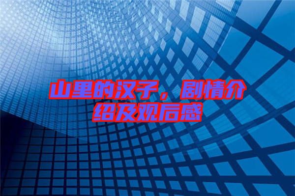山里的漢子，劇情介紹及觀后感