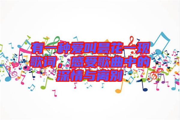 有一種愛叫曇花一現歌詞，感受歌曲中的深情與離別