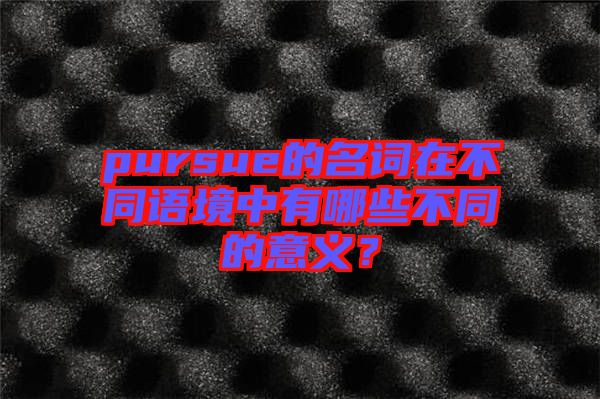 pursue的名詞在不同語境中有哪些不同的意義？