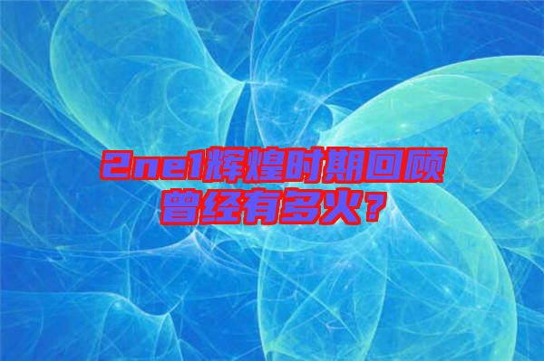 2ne1輝煌時期回顧曾經有多火？