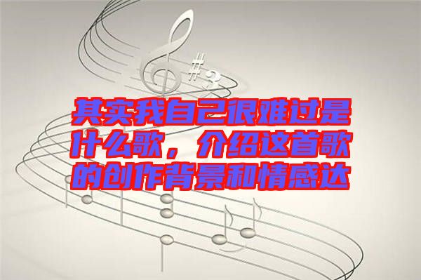 其實我自己很難過是什么歌，介紹這首歌的創作背景和情感達