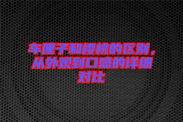 車厘子和櫻桃的區別，從外觀到口感的詳細對比