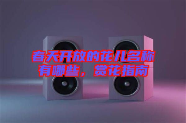 春天開放的花兒名稱有哪些，賞花指南
