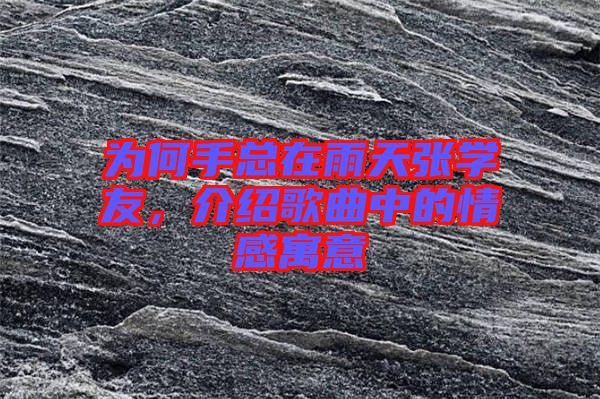 為何手總在雨天張學友，介紹歌曲中的情感寓意