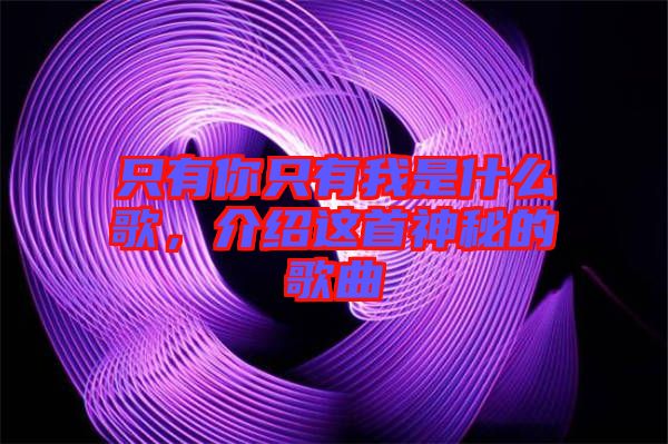 只有你只有我是什么歌，介紹這首神秘的歌曲