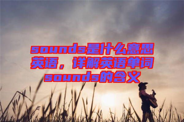 sounds是什么意思英語(yǔ)，詳解英語(yǔ)單詞sounds的含義
