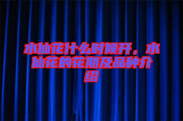 水仙花什么時(shí)候開，水仙花的花期及品種介紹