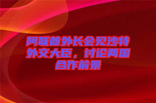 阿聯酋外長會見沙特外交大臣，討論兩國合作前景