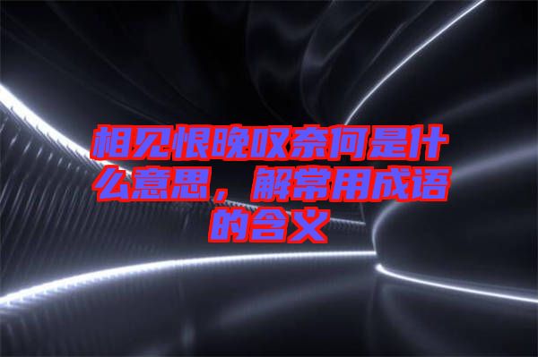 相見恨晚嘆奈何是什么意思，解常用成語的含義
