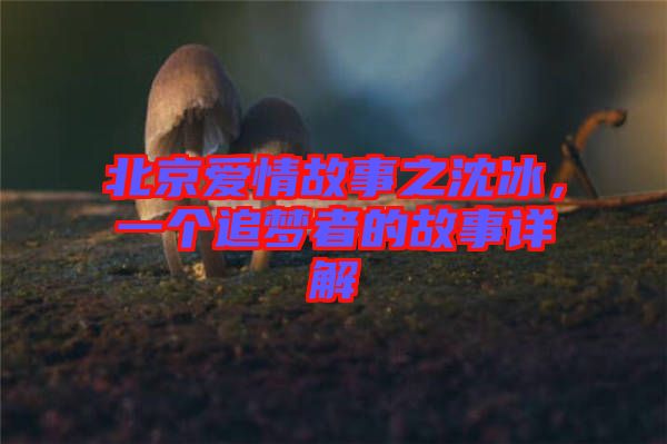 北京愛(ài)情故事之沈冰，一個(gè)追夢(mèng)者的故事詳解