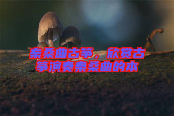 秦桑曲古箏，欣賞古箏演奏秦桑曲的本