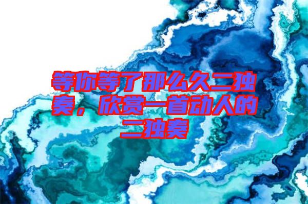 等你等了那么久二獨(dú)奏，欣賞一首動(dòng)人的二獨(dú)奏