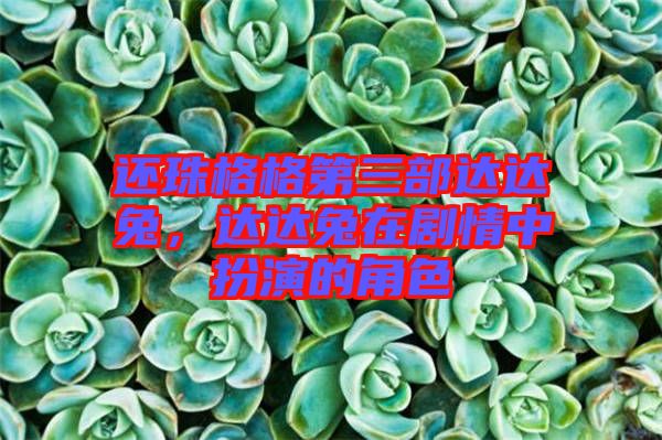 還珠格格第三部達達兔，達達兔在劇情中扮演的角色