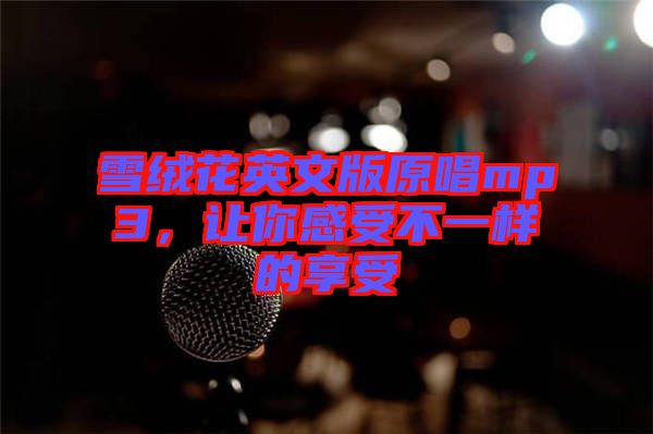 雪絨花英文版原唱mp3，讓你感受不一樣的享受