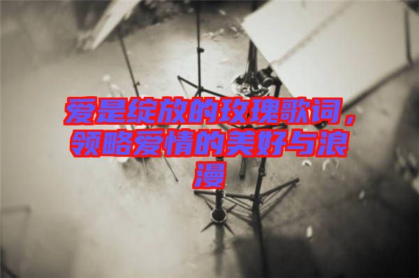 愛是綻放的玫瑰歌詞，領略愛情的美好與浪漫