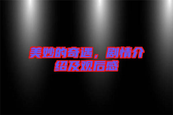美妙的奇遇，劇情介紹及觀后感