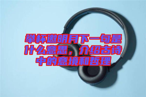 舉杯邀明月下一句是什么意思，介紹古詩(shī)中的意境和哲理