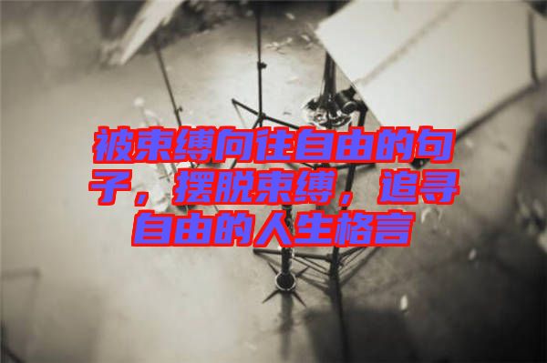被束縛向往自由的句子，擺脫束縛，追尋自由的人生格言