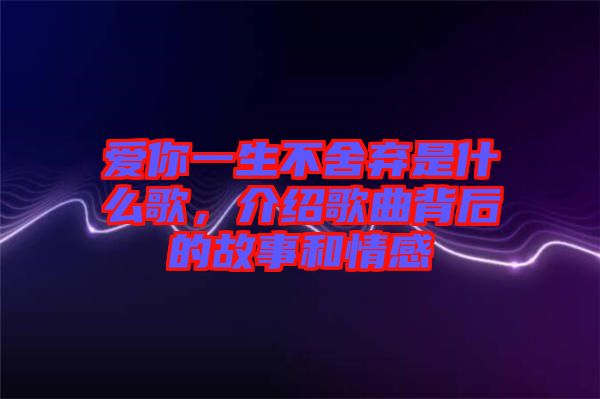愛你一生不舍棄是什么歌，介紹歌曲背后的故事和情感