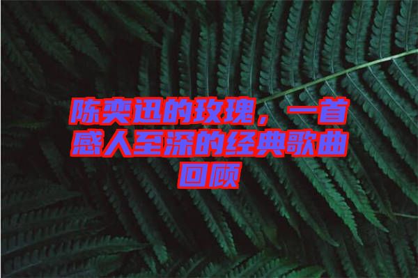 陳奕迅的玫瑰，一首感人至深的經(jīng)典歌曲回顧