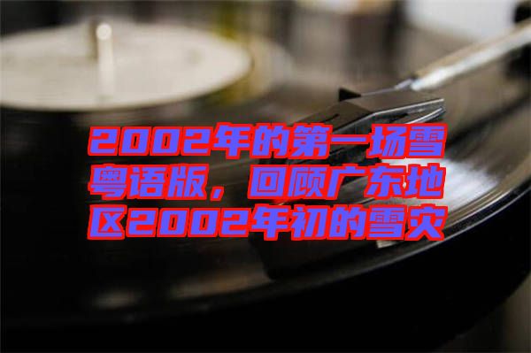 2002年的第一場雪粵語版，回顧廣東地區2002年初的雪災
