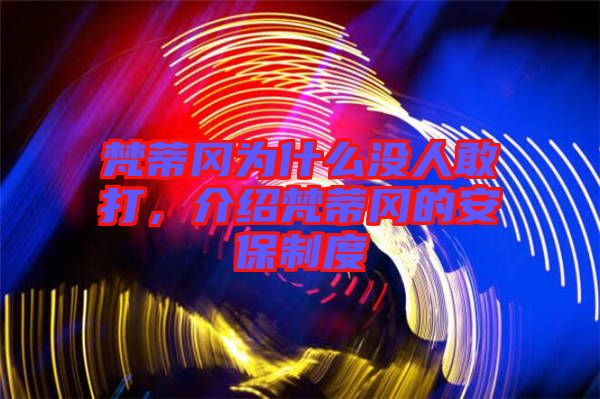 梵蒂岡為什么沒人敢打，介紹梵蒂岡的安保制度