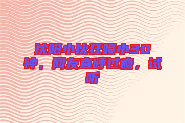 沈陽小伙狂噴小30鐘，網友直呼過癮，試聽
