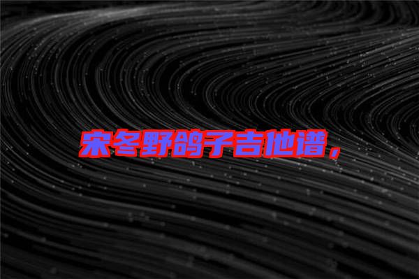 宋冬野鴿子吉他譜，
