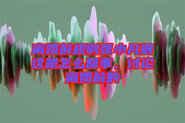 離婚前規則張小凡很這是怎么回事，討論離婚前的