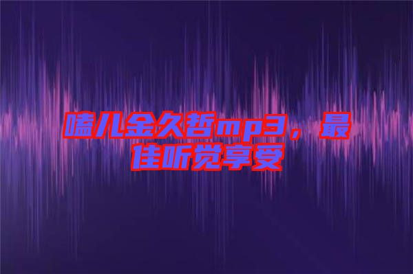 嗑兒金久哲mp3，最佳聽覺享受