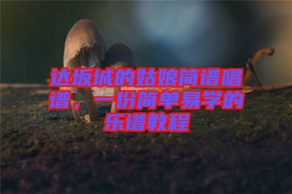 達坂城的姑娘簡譜唱譜，一份簡單易學的樂譜教程