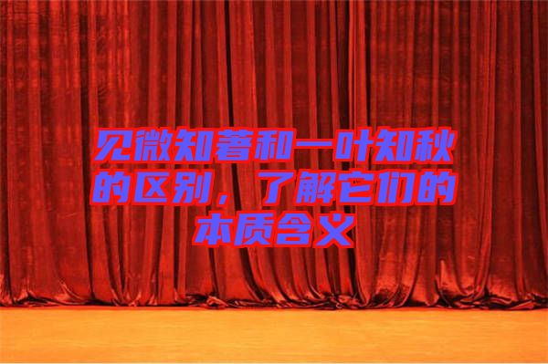 見微知著和一葉知秋的區別，了解它們的本質含義