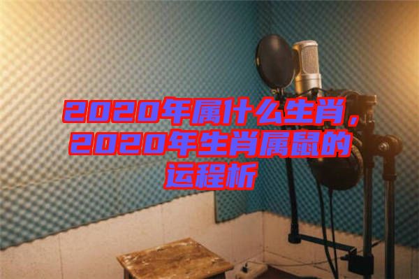 2020年屬什么生肖，2020年生肖屬鼠的運程析