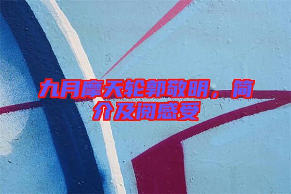 九月摩天輪郭敬明，簡介及閱感受