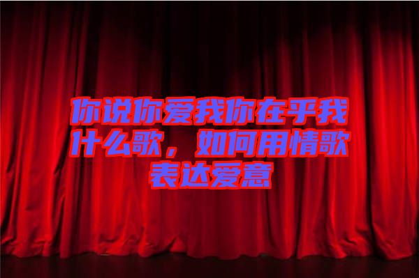 你說(shuō)你愛(ài)我你在乎我什么歌，如何用情歌表達(dá)愛(ài)意