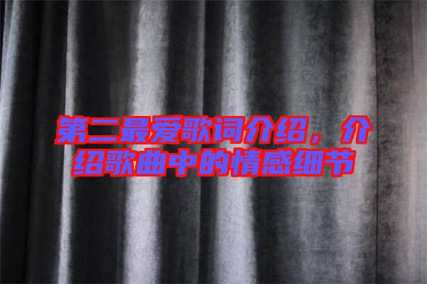 第二最愛歌詞介紹，介紹歌曲中的情感細節(jié)