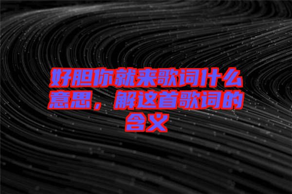 好膽你就來歌詞什么意思，解這首歌詞的含義
