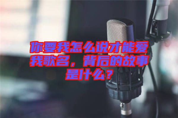 你要我怎么說才能愛我歌名，背后的故事是什么？
