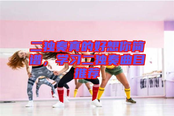 二獨奏真的好想你簡譜，學習二獨奏曲目推薦
