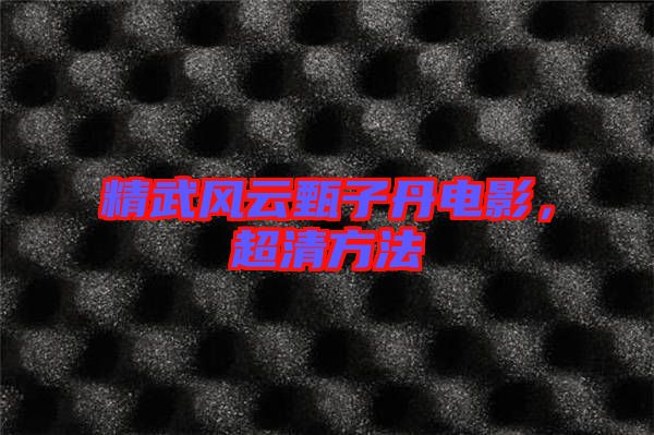 精武風云甄子丹電影，超清方法