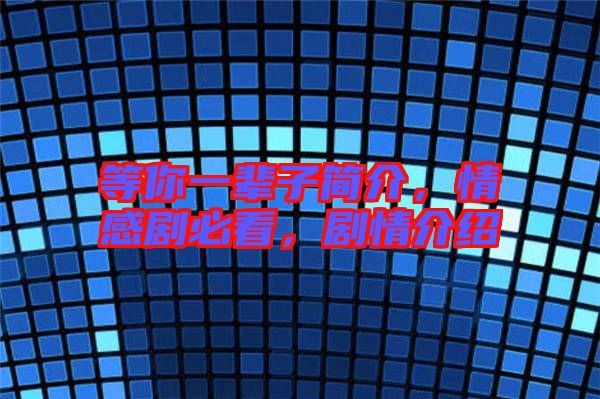 等你一輩子簡介，情感劇必看，劇情介紹