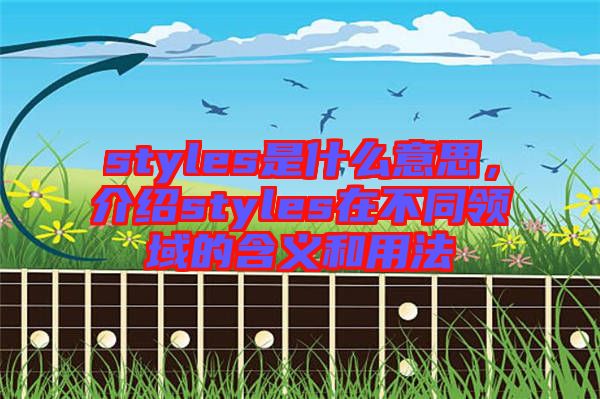 styles是什么意思，介紹styles在不同領域的含義和用法