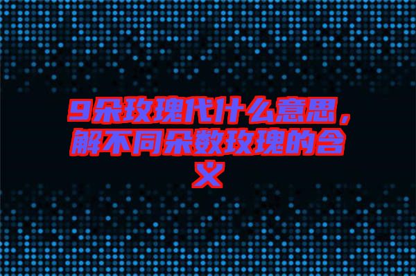 9朵玫瑰代什么意思，解不同朵數玫瑰的含義