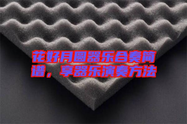花好月圓器樂合奏簡譜，享器樂演奏方法