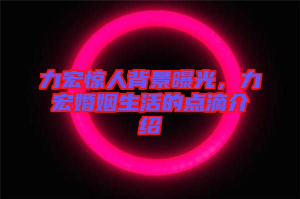 力宏驚人背景曝光，力宏婚姻生活的點(diǎn)滴介紹