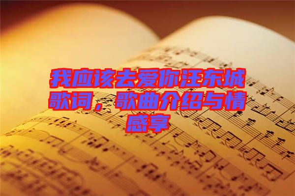 我應該去愛你汪東城歌詞，歌曲介紹與情感享